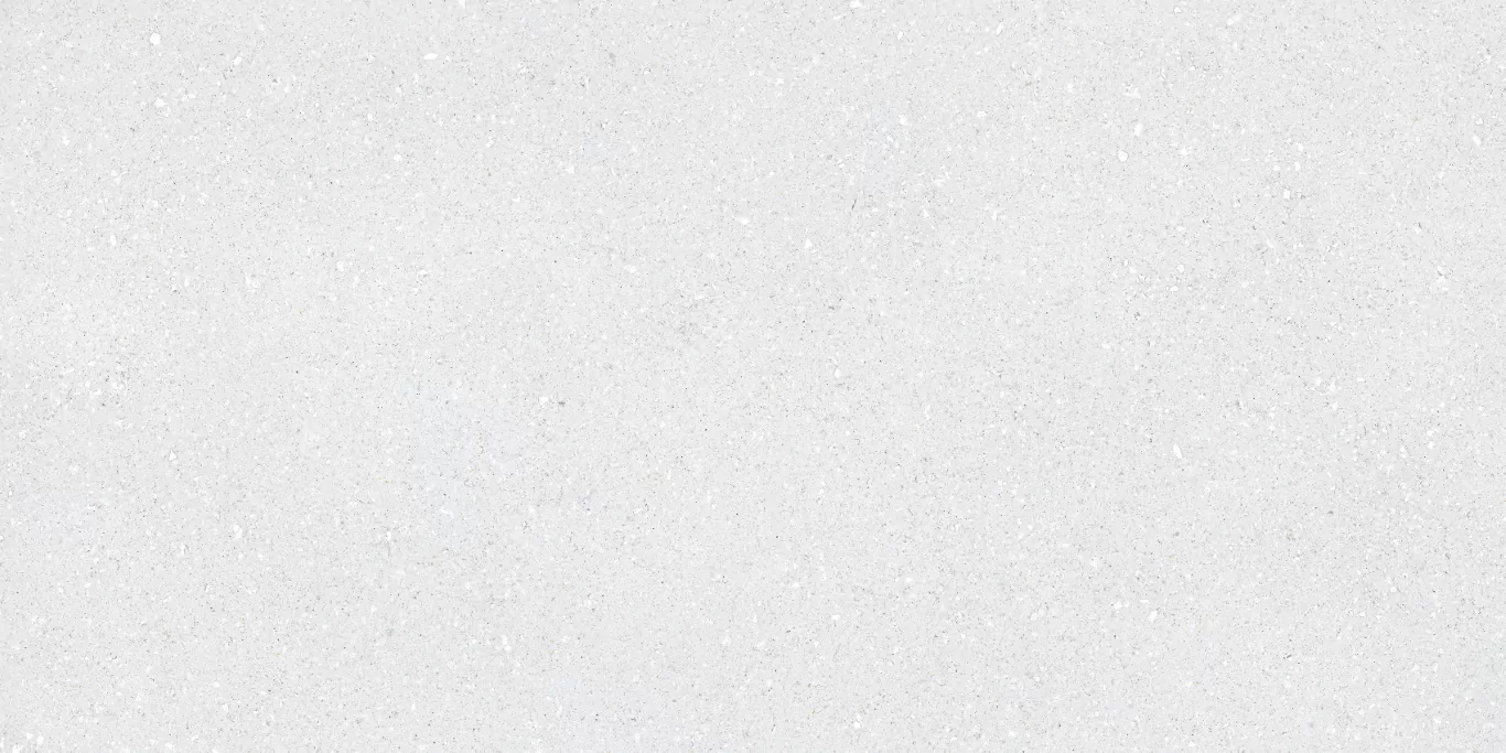 Керамогранит Sassy White Rec 60x120