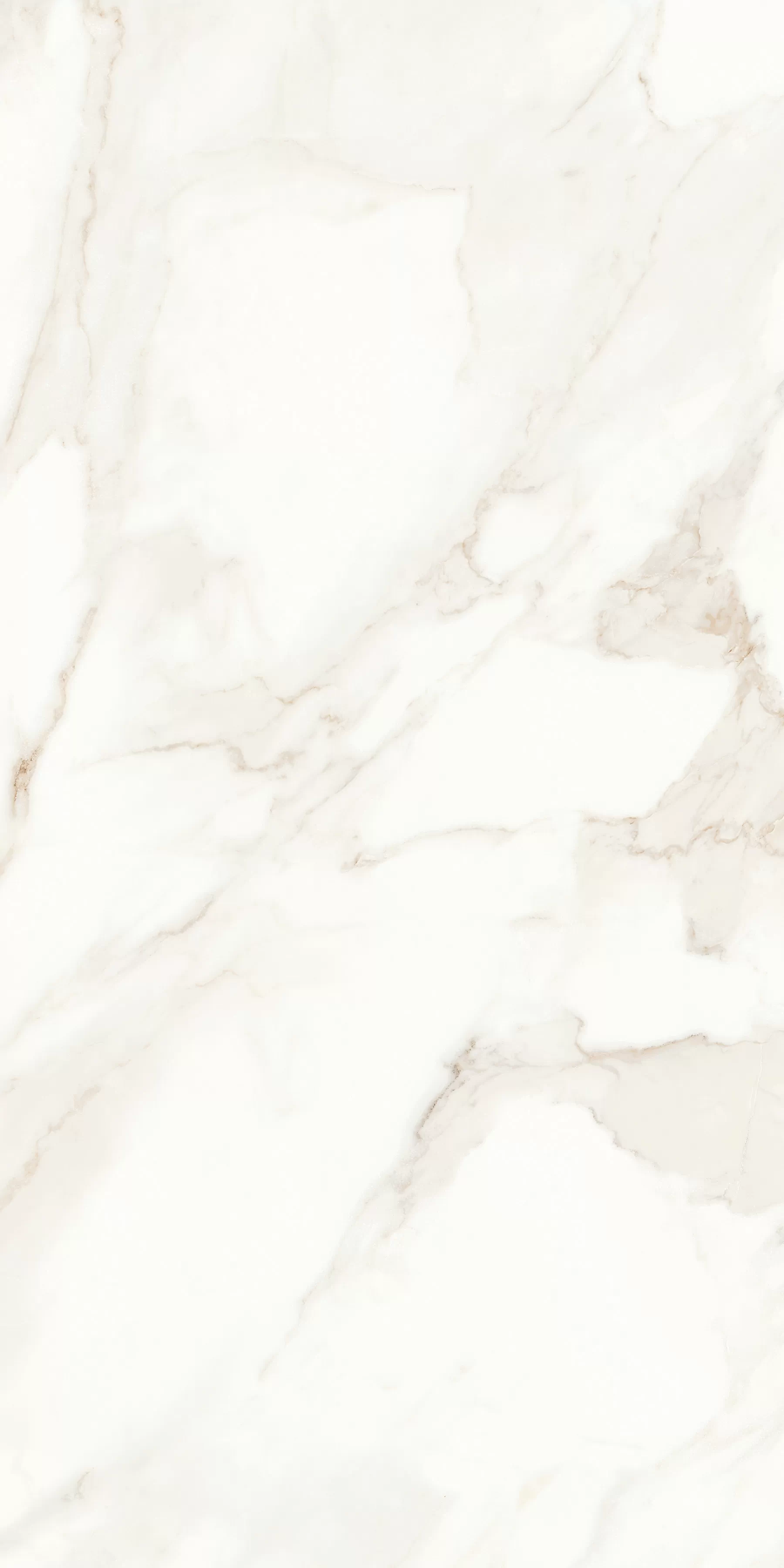 Керамогранит MPL-058623 Calacatta Polished 60x120