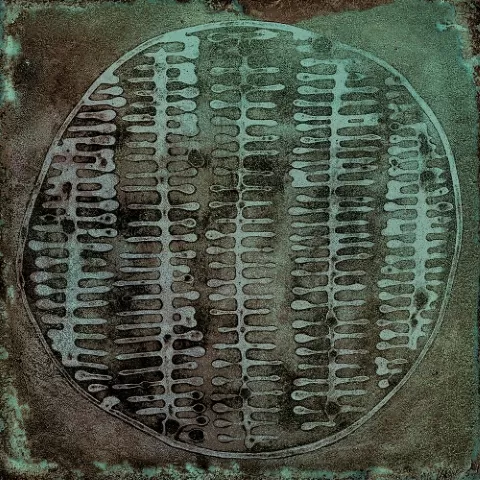 Плитка Carlo Jade-B 20x20