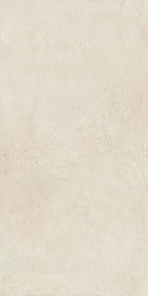 Керамогранит 610010002777 Snow 60x120