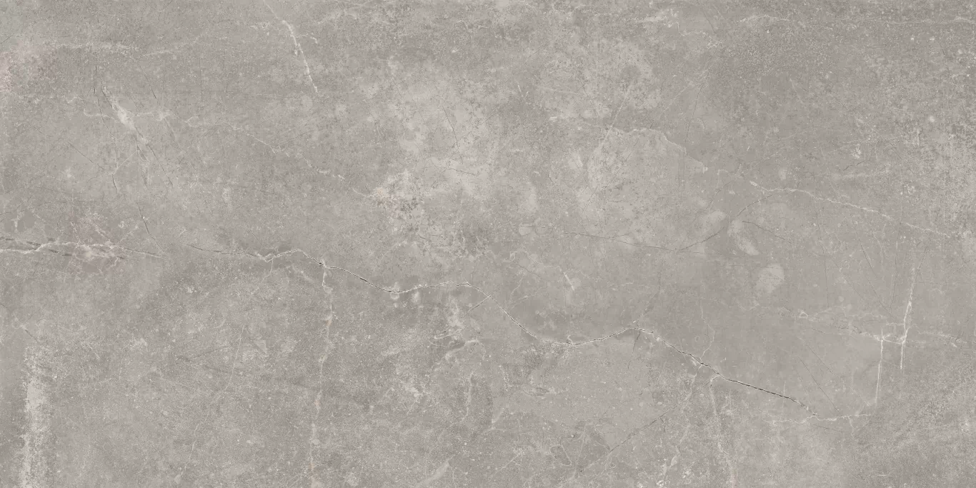Керамогранит Concept Gray 60x120