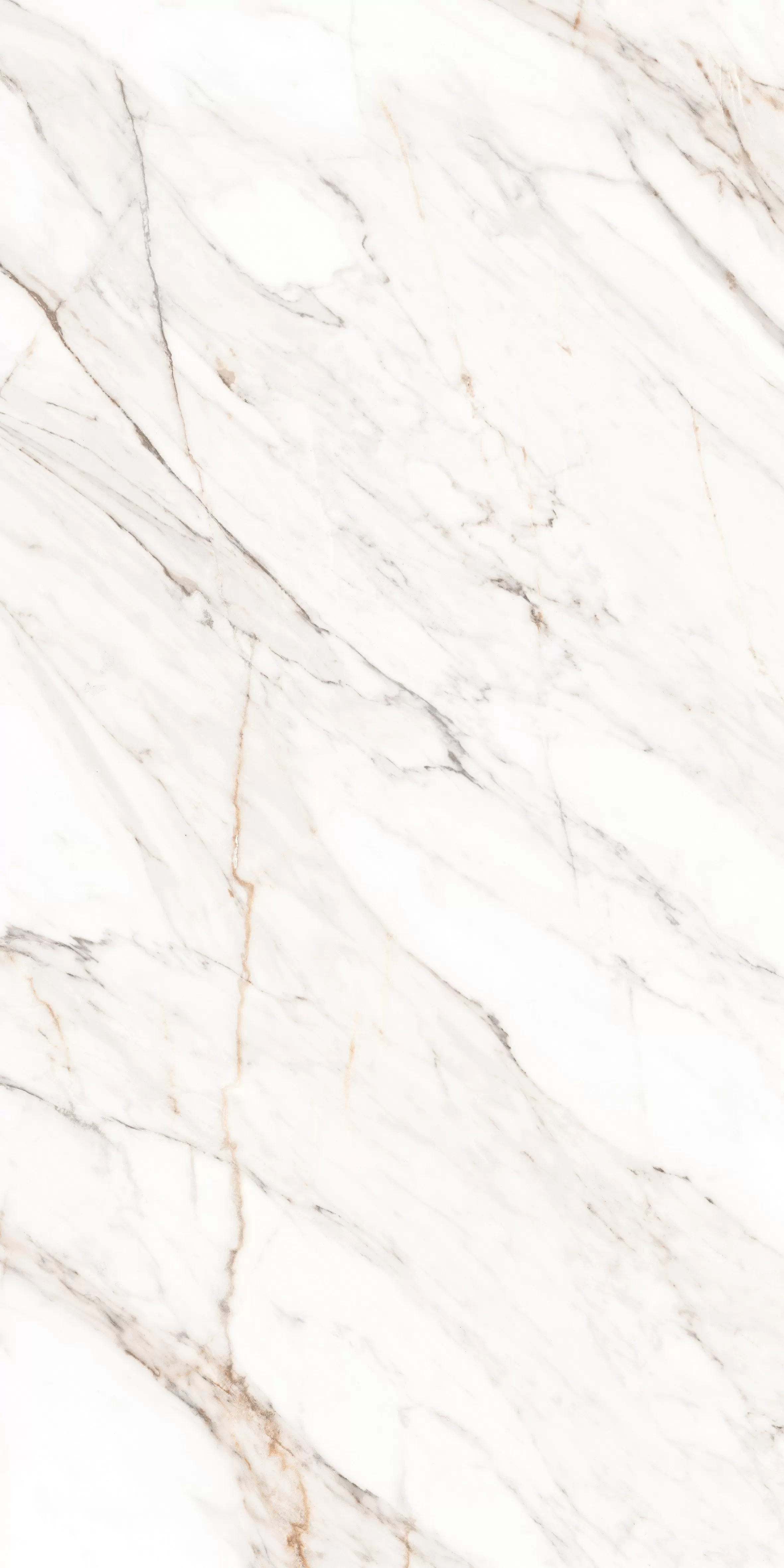 Керамогранит MPL-058640 Calacatta Gold Polished 80x160