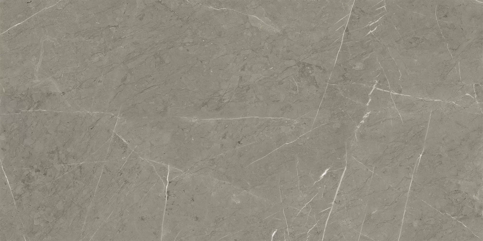 Керамогранит K-2202/LR Skala Grey 600x1200x11