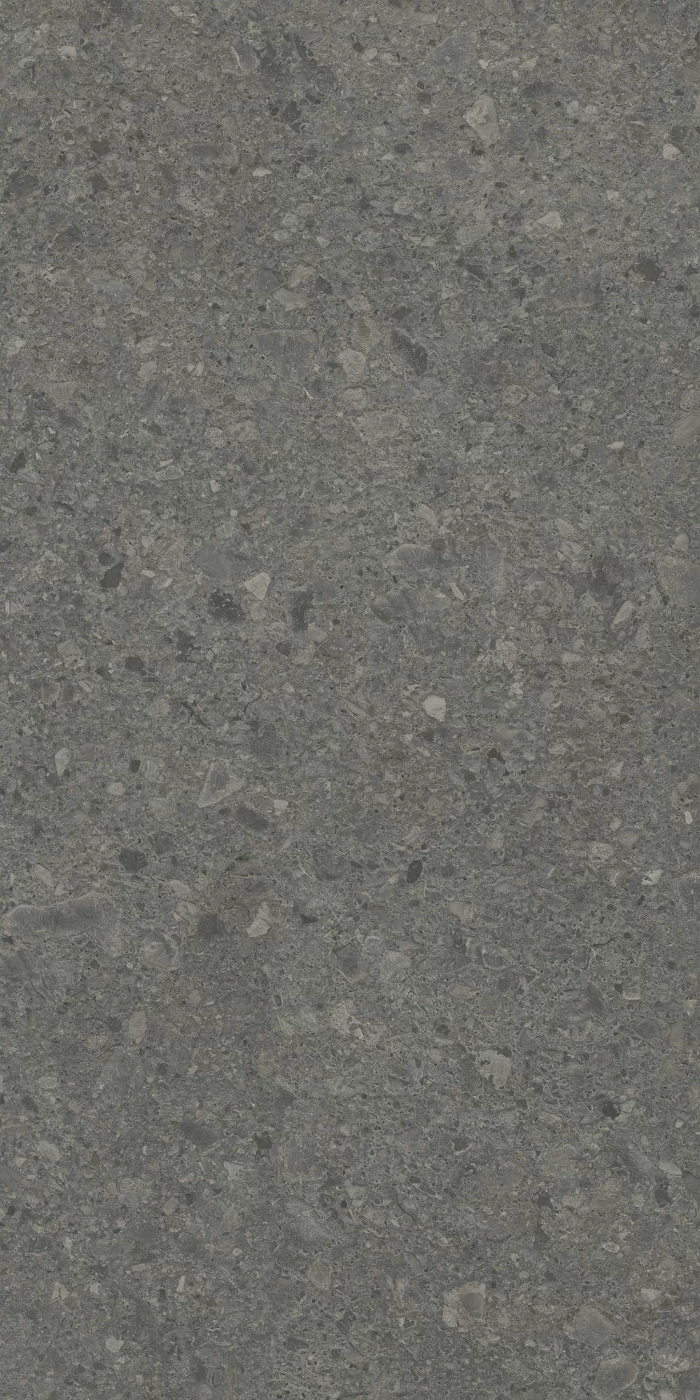 Керамогранит DD591600R Чеппо ди Гре антрацит матовый обрезной 119,5x238,5x1,1