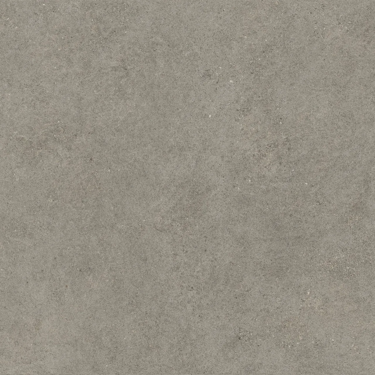 Керамогранит 600010002429 Forte dei Marmi Rock Lunar Grey Matt Rett 120x120