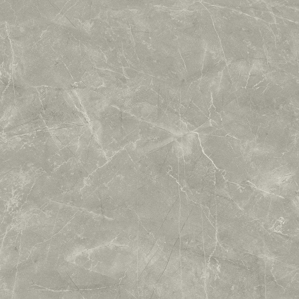 Керамогранит Wolf Grey 80х80