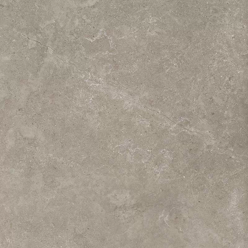 Керамогранит 8163 Shell DG 60х60