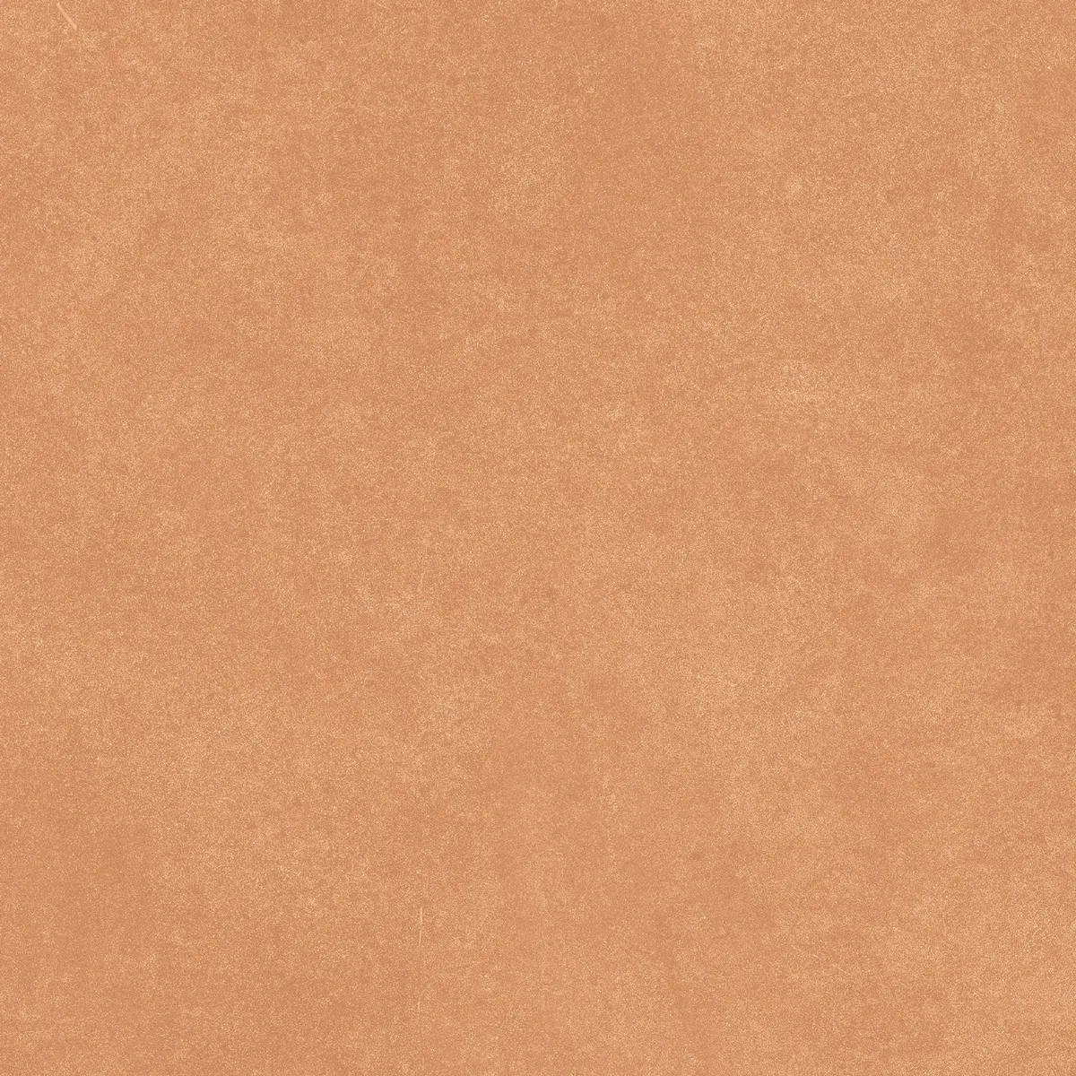 Керамогранит N100004 Levels Orange Matt 20x20