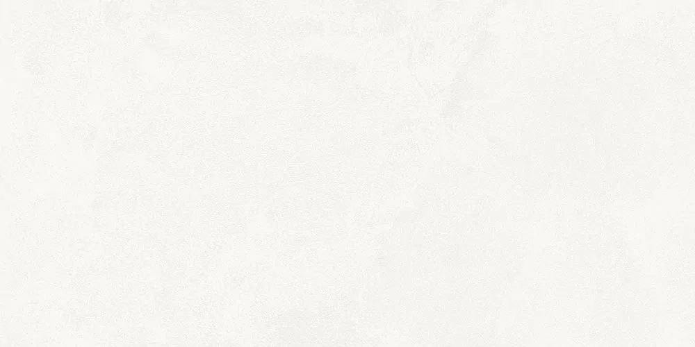 Керамогранит 4ZMJ New York-R Blanco R10 60x120
