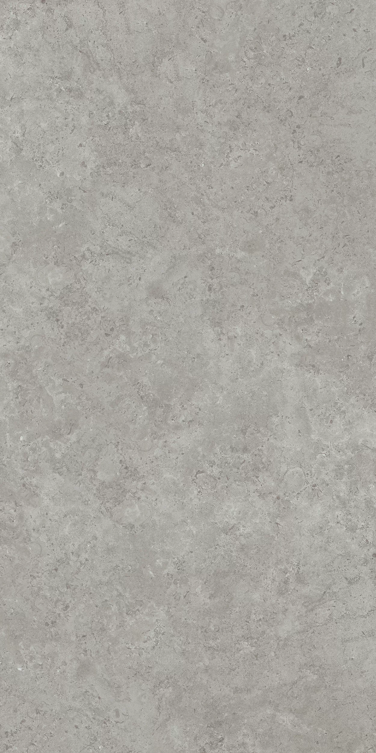 Керамогранит DD590600R Про Лаймстоун АТ серый натуральный обрезной R10 119,5х238,5