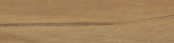 Керамогранит Leccio Oliato 10x40