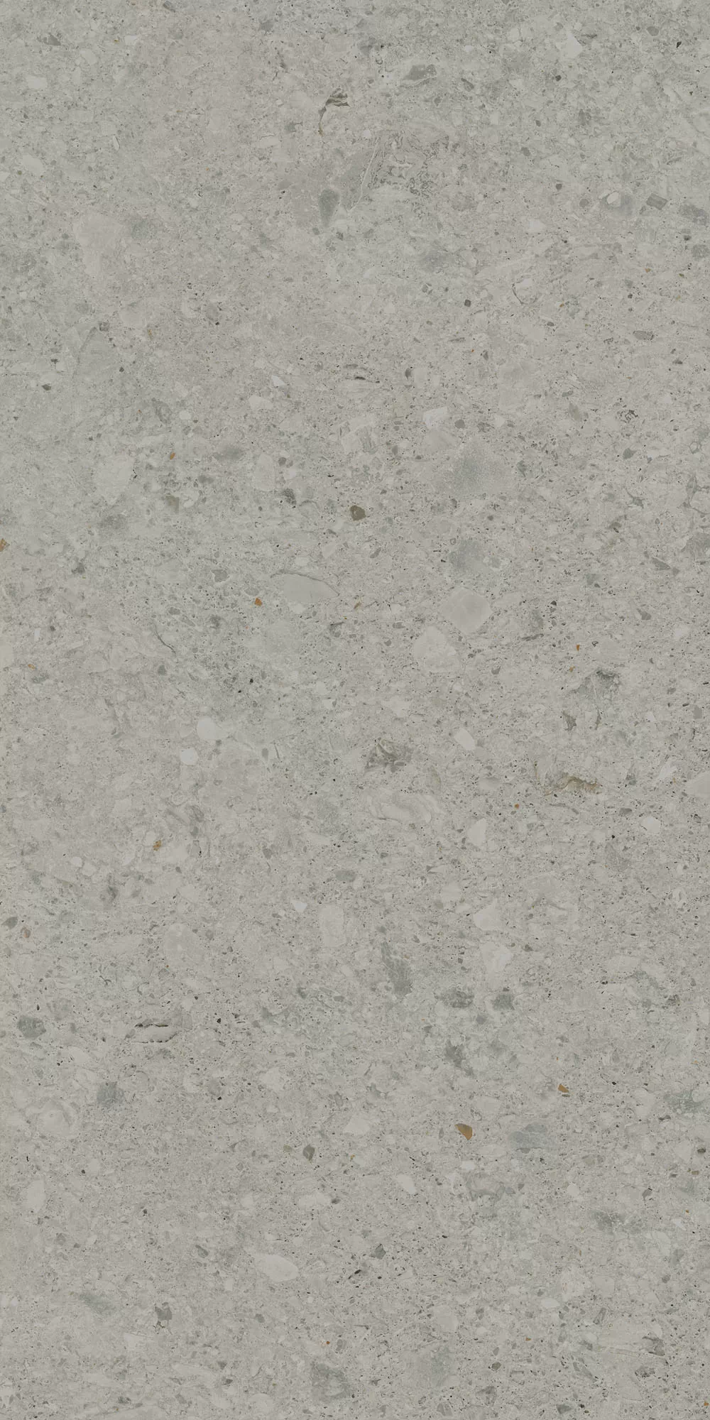 Керамогранит DD591400R Чеппо ди Гре серый матовый обрезной 119,5x238,5x1,1