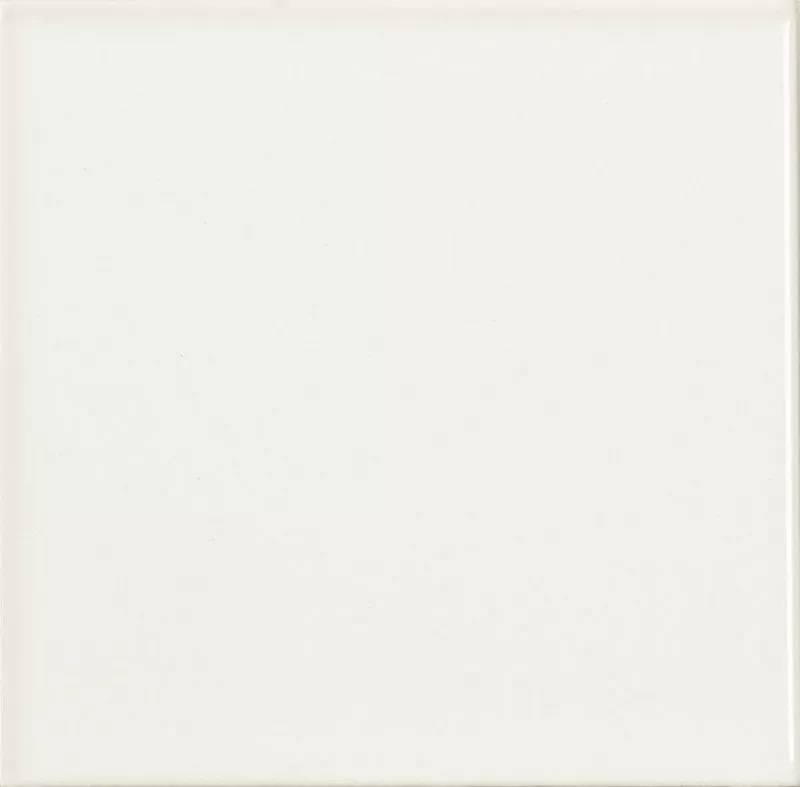 Плитка Liso Blanco Mate 10х10