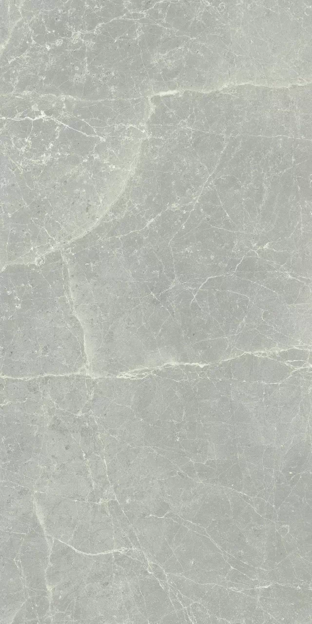 Керамогранит 760032 Exalt Silver Light Luc Ret 60x120