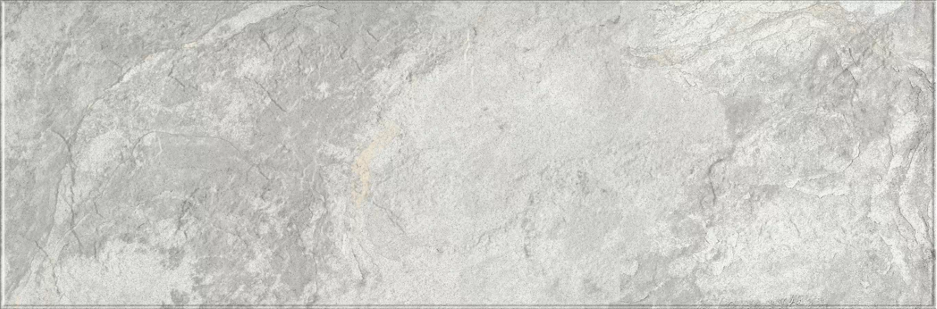 Плитка 616 Image Silver 32,5х100