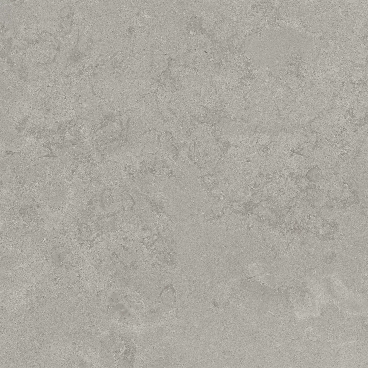 Керамогранит DD640900R Про Лаймстоун серый натуральный обрезной R10 60х60