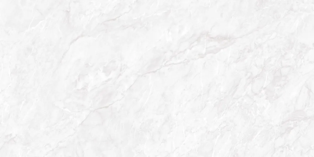 Керамогранит N20481 Carrara Pearl Polished 60x120
