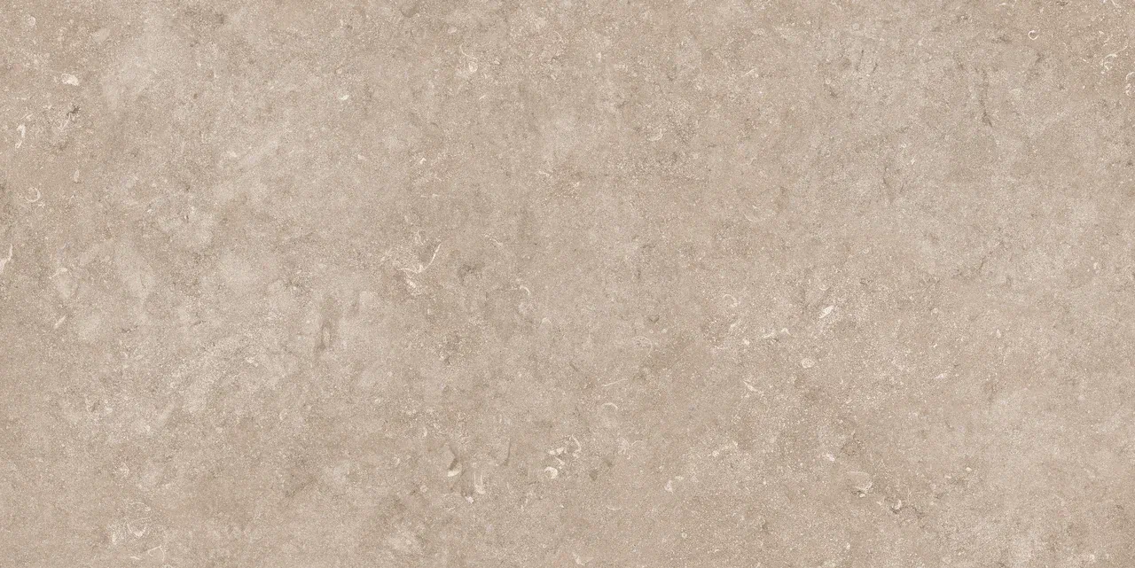 Керамогранит N12050 Pariso Tobacco Matt 60x120