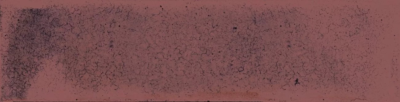 Керамогранит Jazba Garnet Brillo 6х24.6