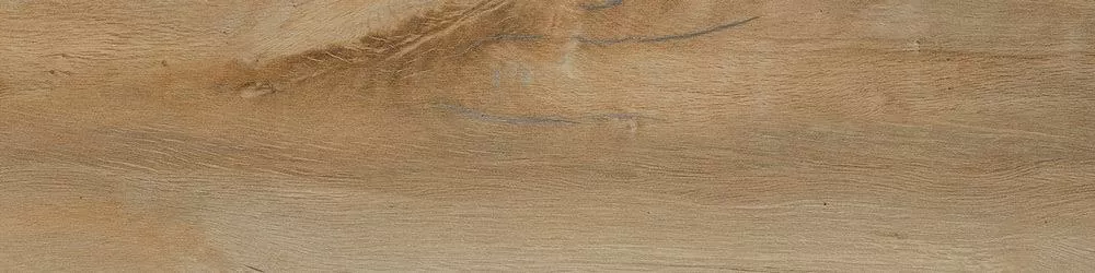 Керамогранит Leccio Classico 10x40