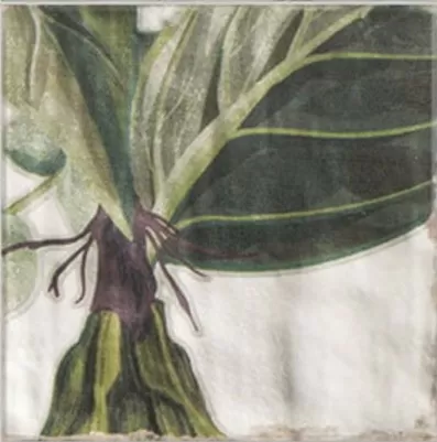 Плитка DECOR PROTEA 20x20