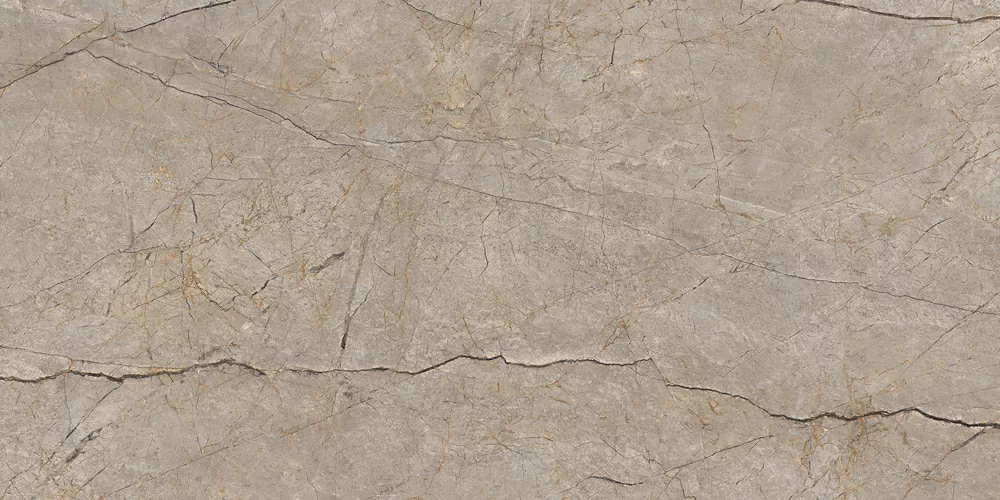 Керамогранит 17124 Silver Roots серый матовый ректификат 60x120