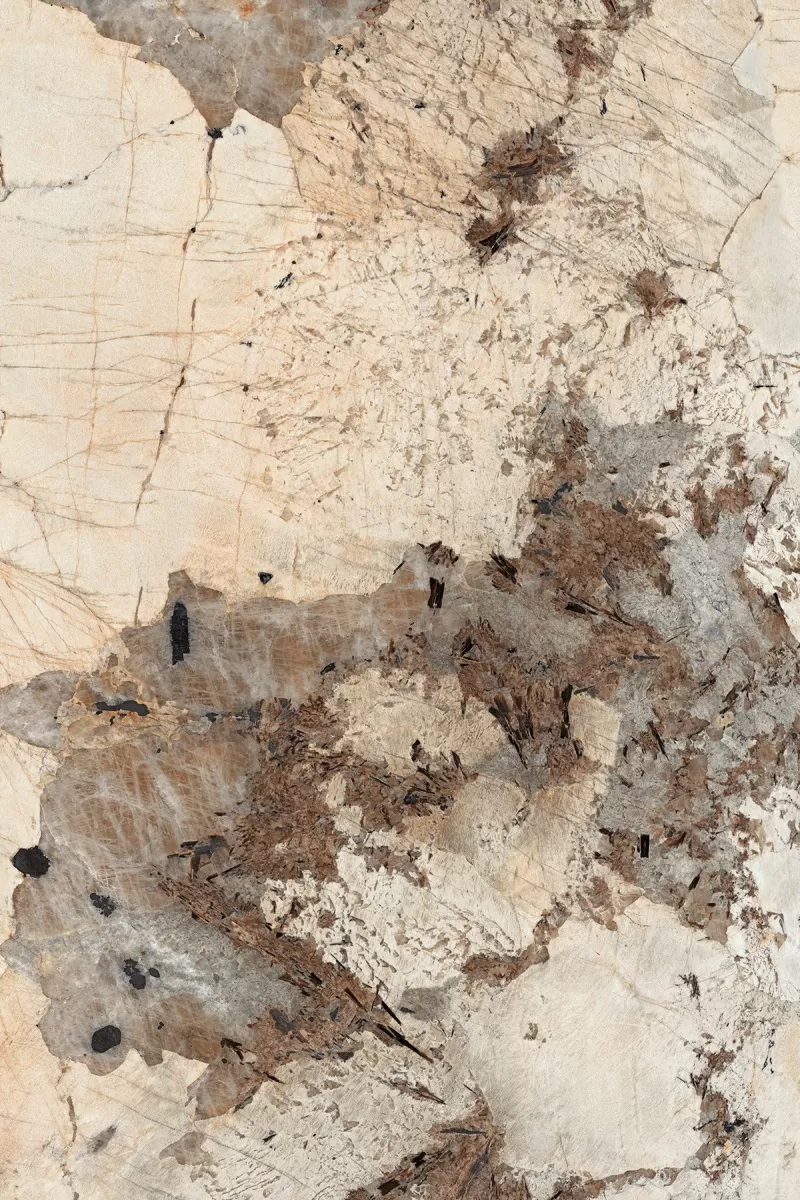 Керамогранит MPL-062342 Patagonia Bronze High Gloss 120х180