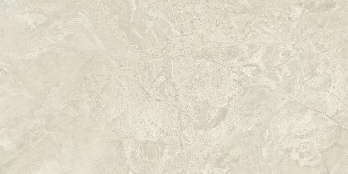 Керамогранит Canyon Bone Rect 60x120