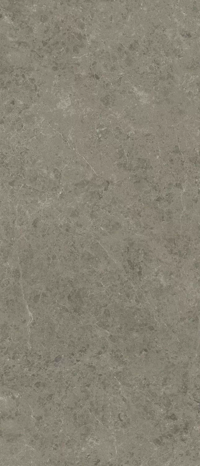 Керамогранит AJH5 Marvel Meraviglia Grigio Elegante Lapp. 6mm 120x278