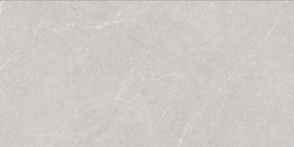 Керамогранит Elenta Ash Carving 60x120