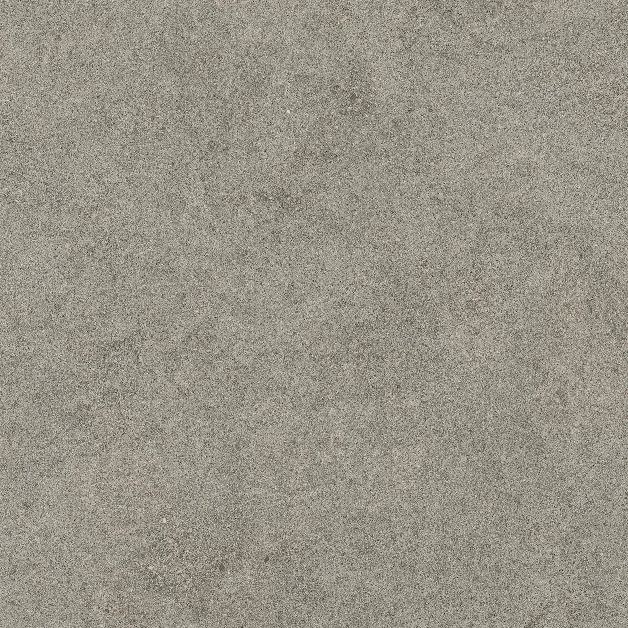 Керамогранит 610010005836 Forte dei Marmi Rock Lunar Grey Lastra 20mm 60x60