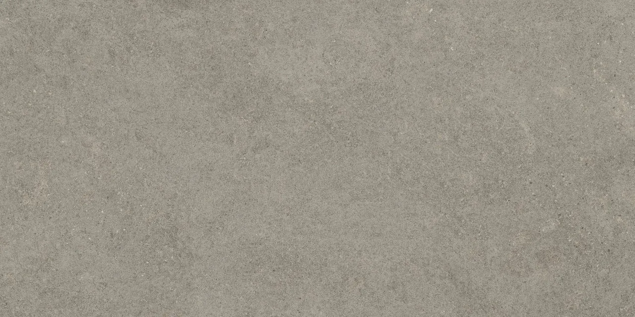 Керамогранит 610010005813 Forte dei Marmi Rock Lunar Grey Matt Rett 80x160