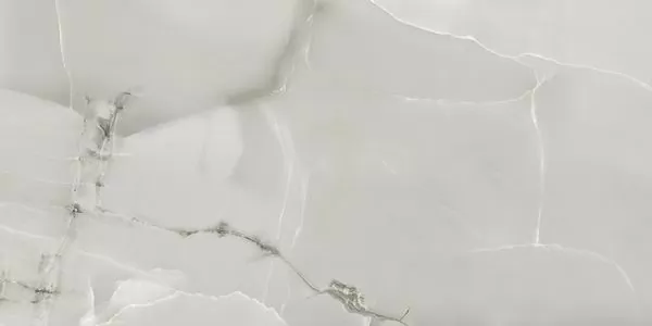 Керамогранит Prisma Onyx Gris 60x120