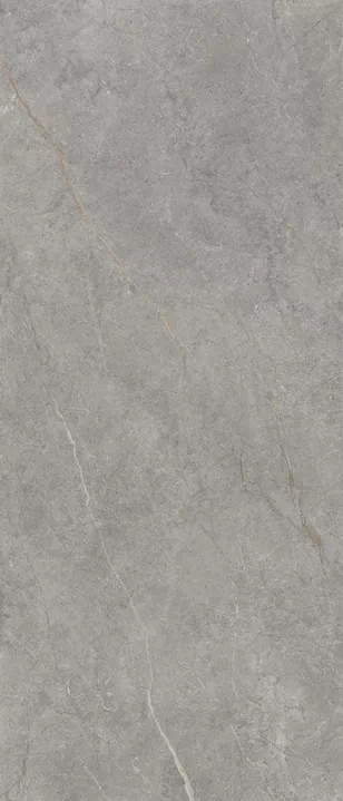 Керамогранит LS6AL40 Anthology Slimtech 04 Gray Natural RT 6mm 120x278