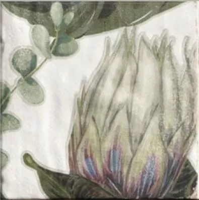 Плитка DECOR PROTEA 20x20
