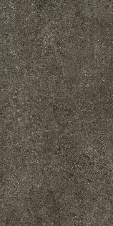 Керамогранит 768327 Sensi Brown Fossil Ret 60x120