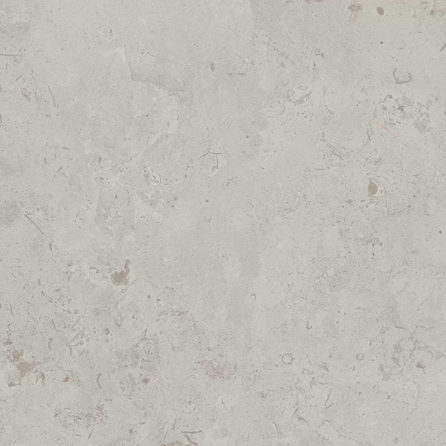 Керамогранит DD641000R Про Лаймстоун серый светлый натуральный обрезной R10 60х60