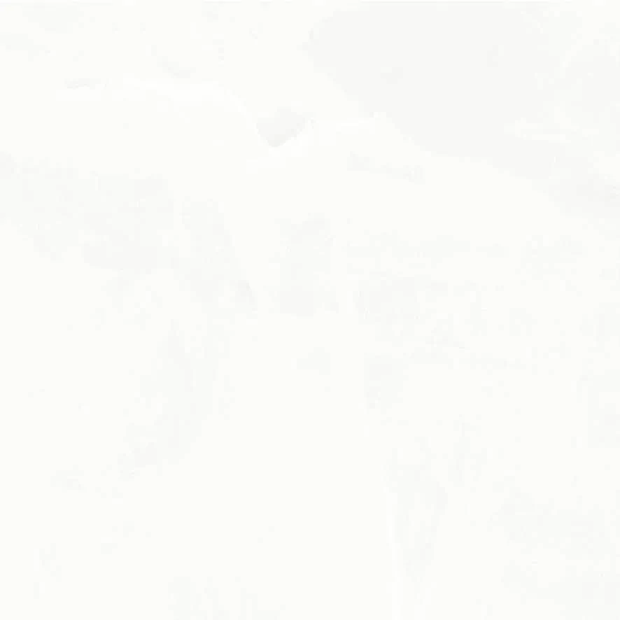 Керамогранит Onyx Hope Светло-серый Полированный 60х60