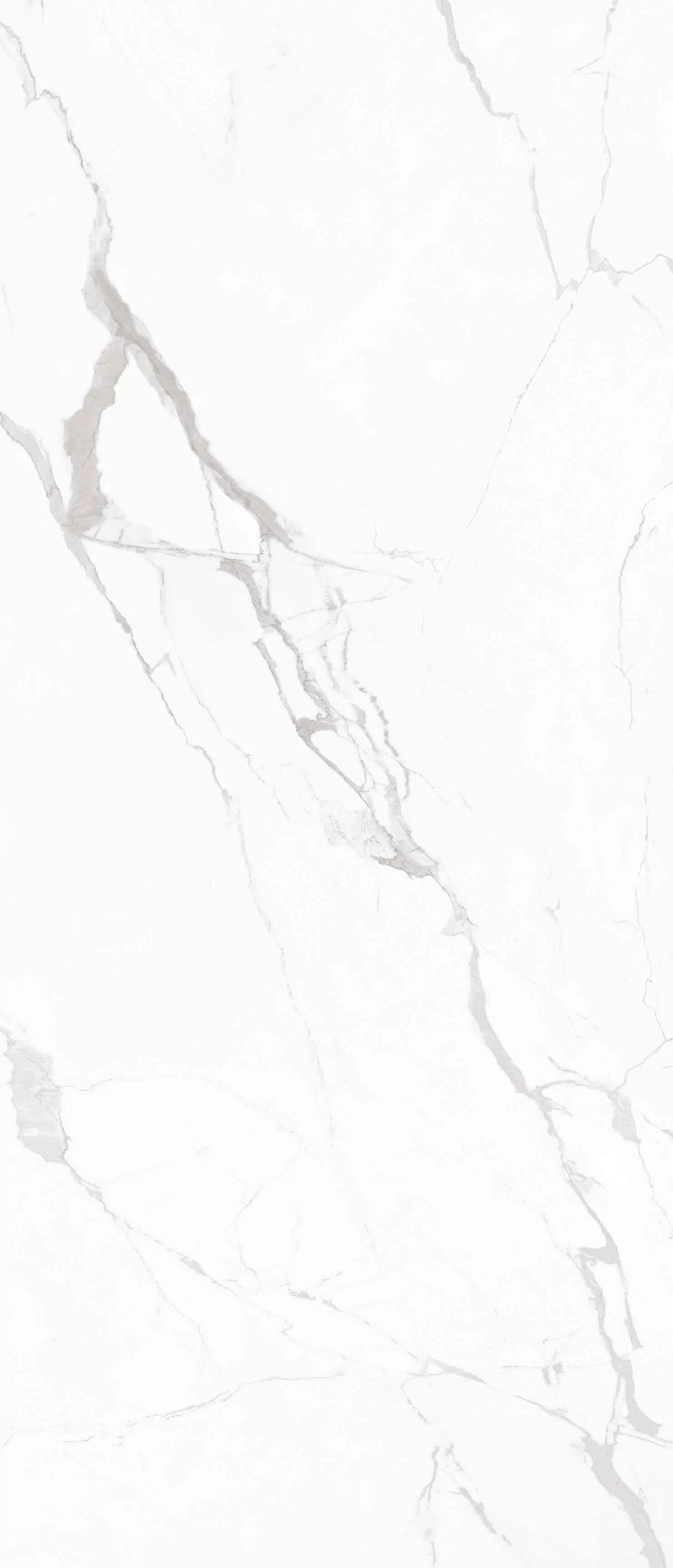 Керамогранит NTT3605P Marble White 120x280