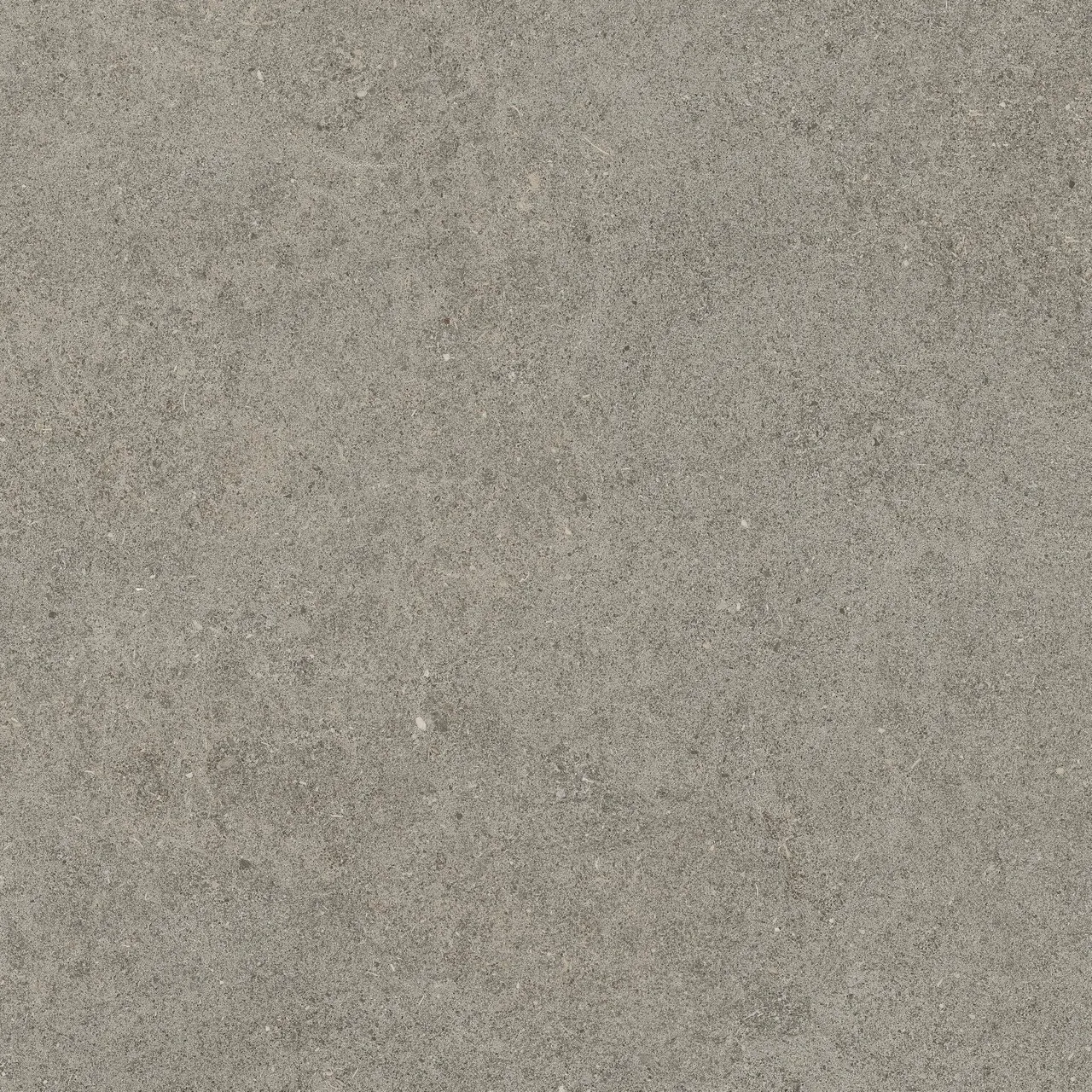 Керамогранит 610010005836 Forte dei Marmi Rock Lunar Grey Lastra 20mm 60x60