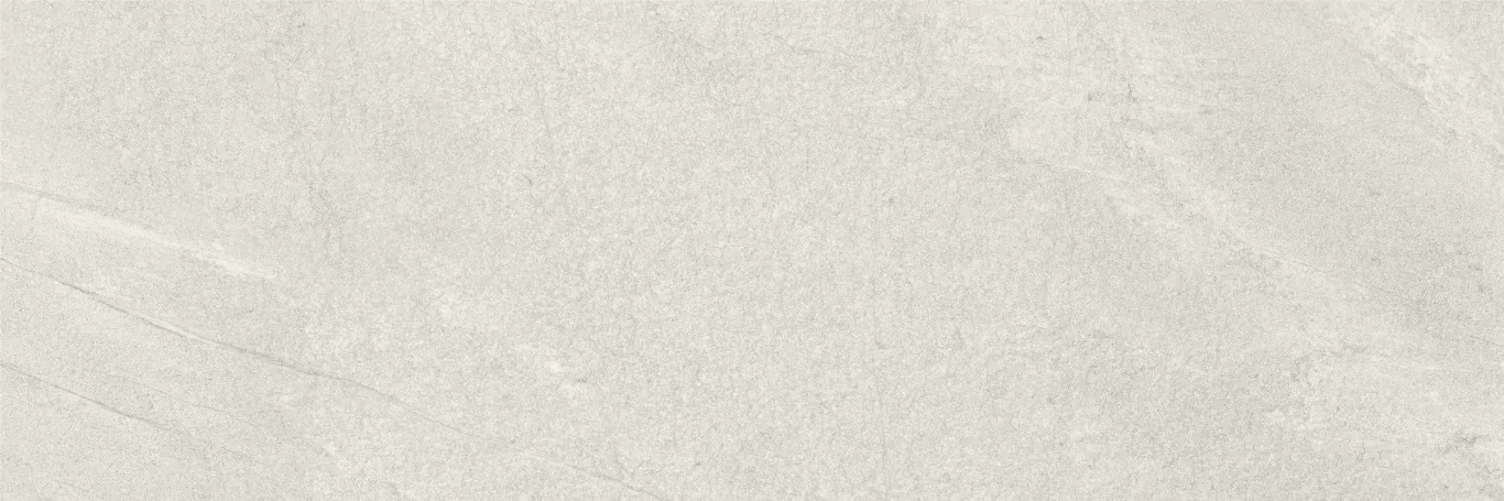 Плитка Nature Ash Rеct 40x120