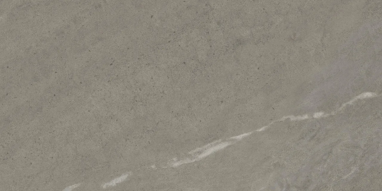 Керамогранит 610010005817 Forte dei Marmi Rock Venaria Grey Matt Rett 80x160