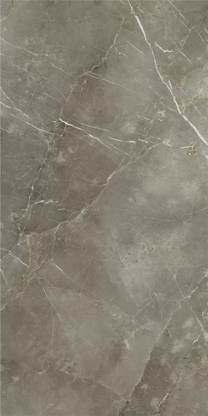 Керамогранит 610015000688 Stellaris Tuscania Grey Lux Ret 80x160