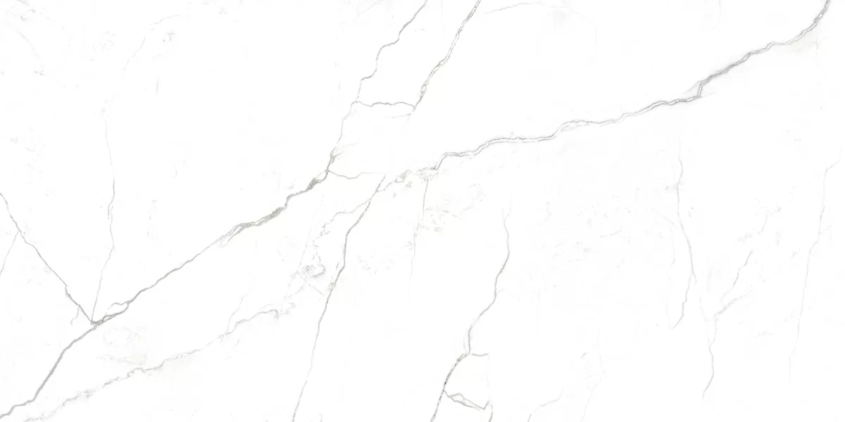 Керамогранит G391 Neiva Elegant MR 60x120