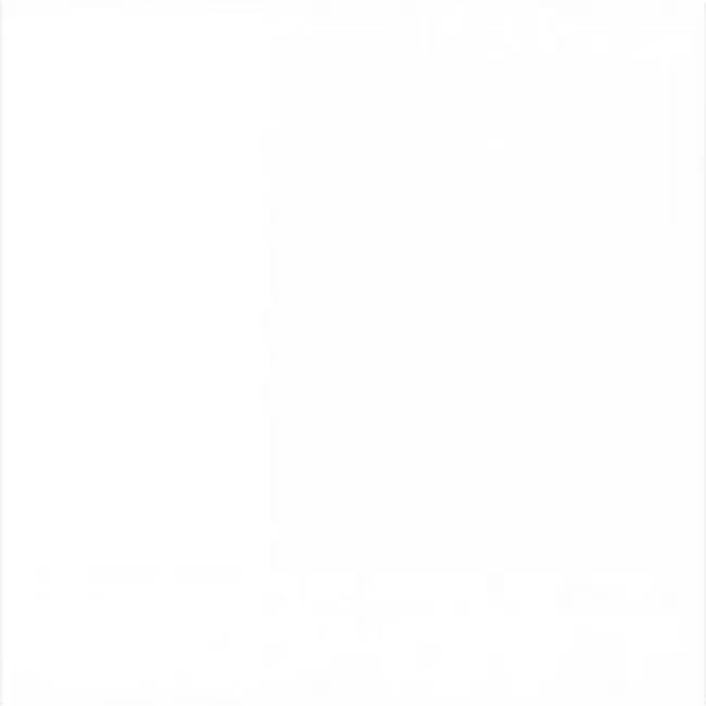 Керамогранит 6600 Матовый 60x60