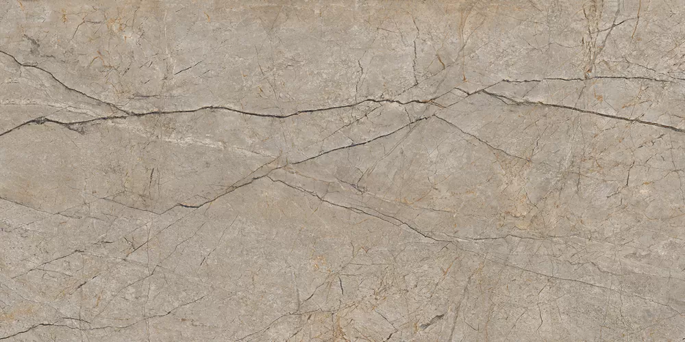 Керамогранит 17124 Silver Roots серый матовый ректификат 60x120