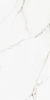 Керамогранит 00-00000245 Calcatta Montreal Polish 60х120