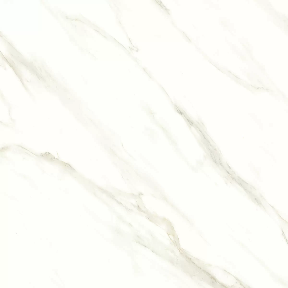 Керамогранит Cassini carrara PGVT 60x60