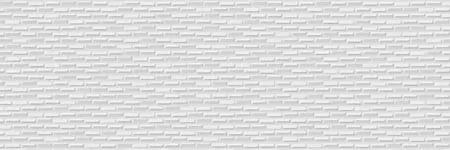 Плитка Fan Kite Blanco Rect. 25x75