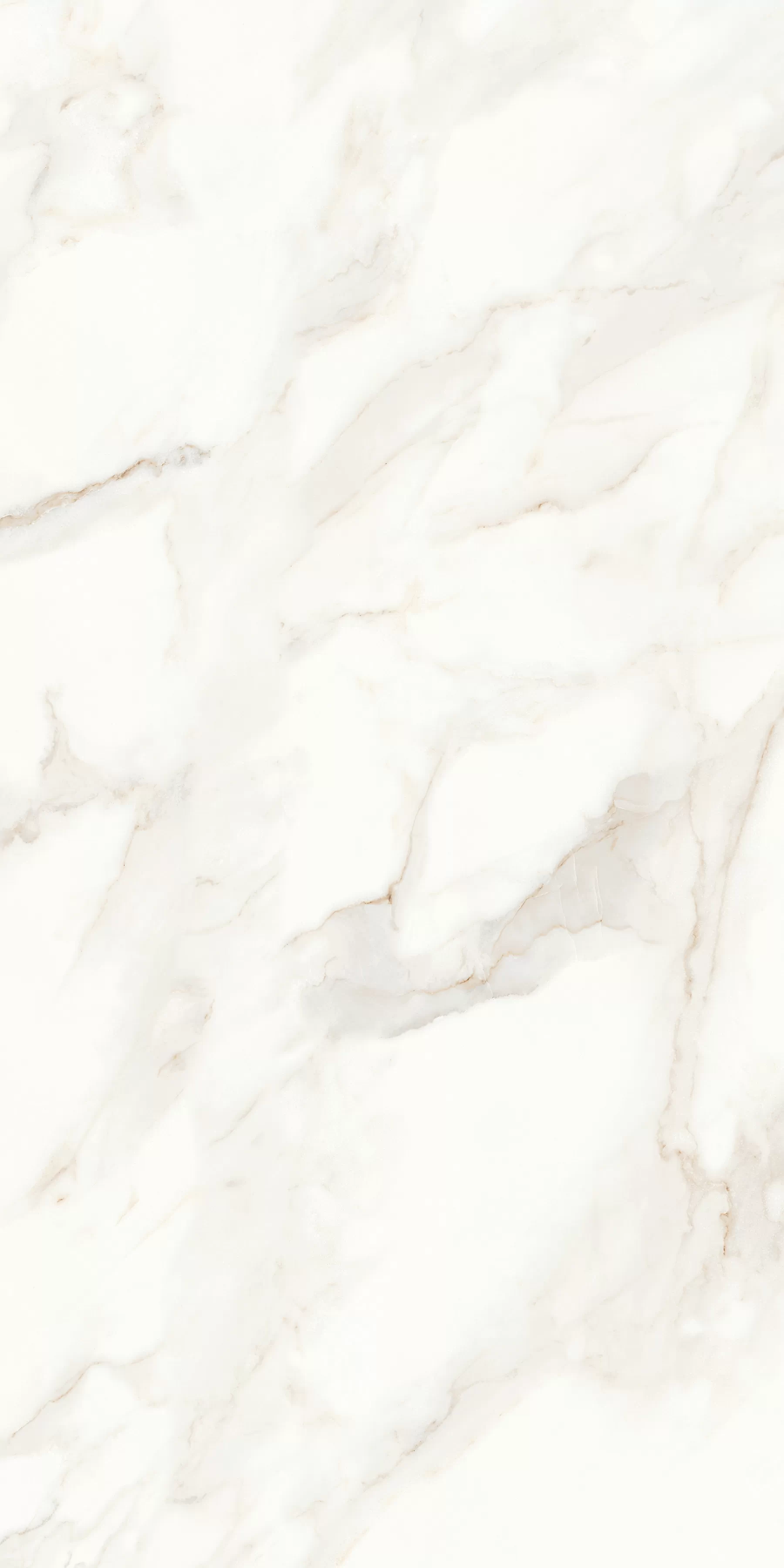 Керамогранит MPL-058623 Calacatta Polished 60x120